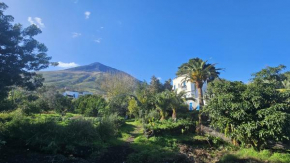 La Casa di Nonna Ida, Lipari